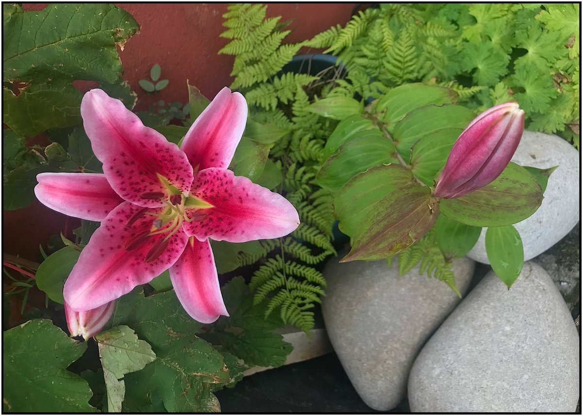 John Keating tweet media