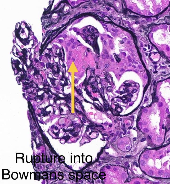 Sanjeev Sethi tweet media