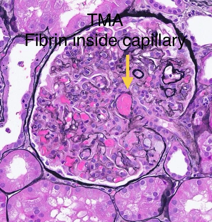 Sanjeev Sethi tweet media