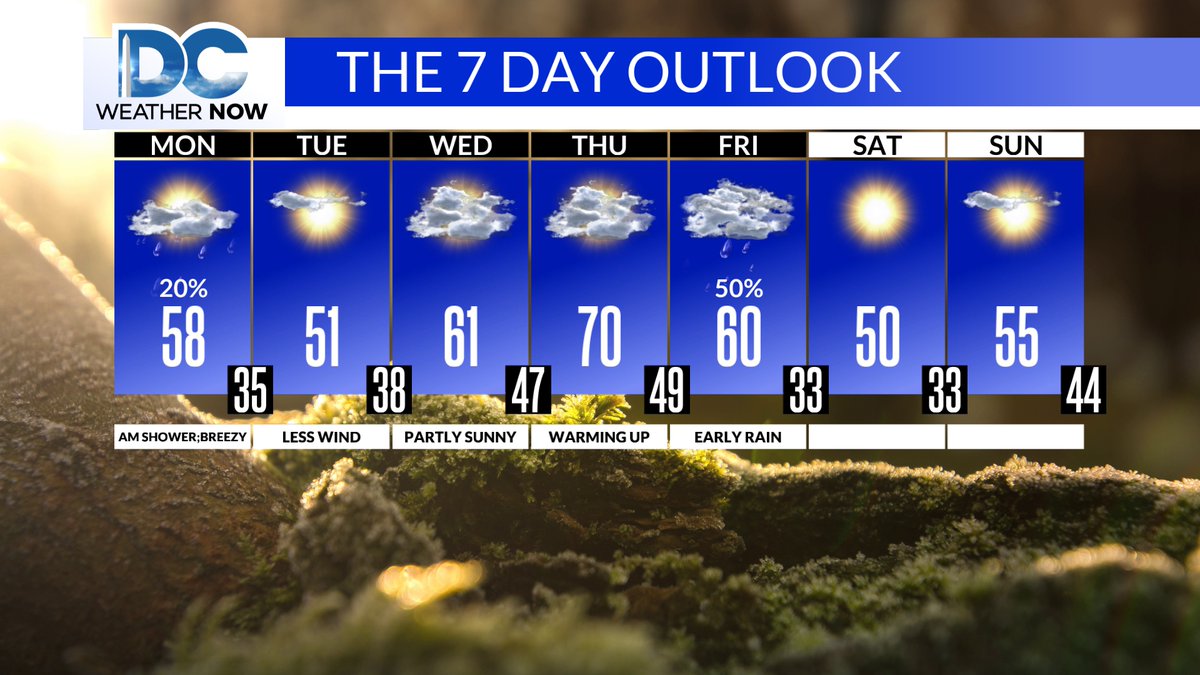 Scott Sumner tweet media