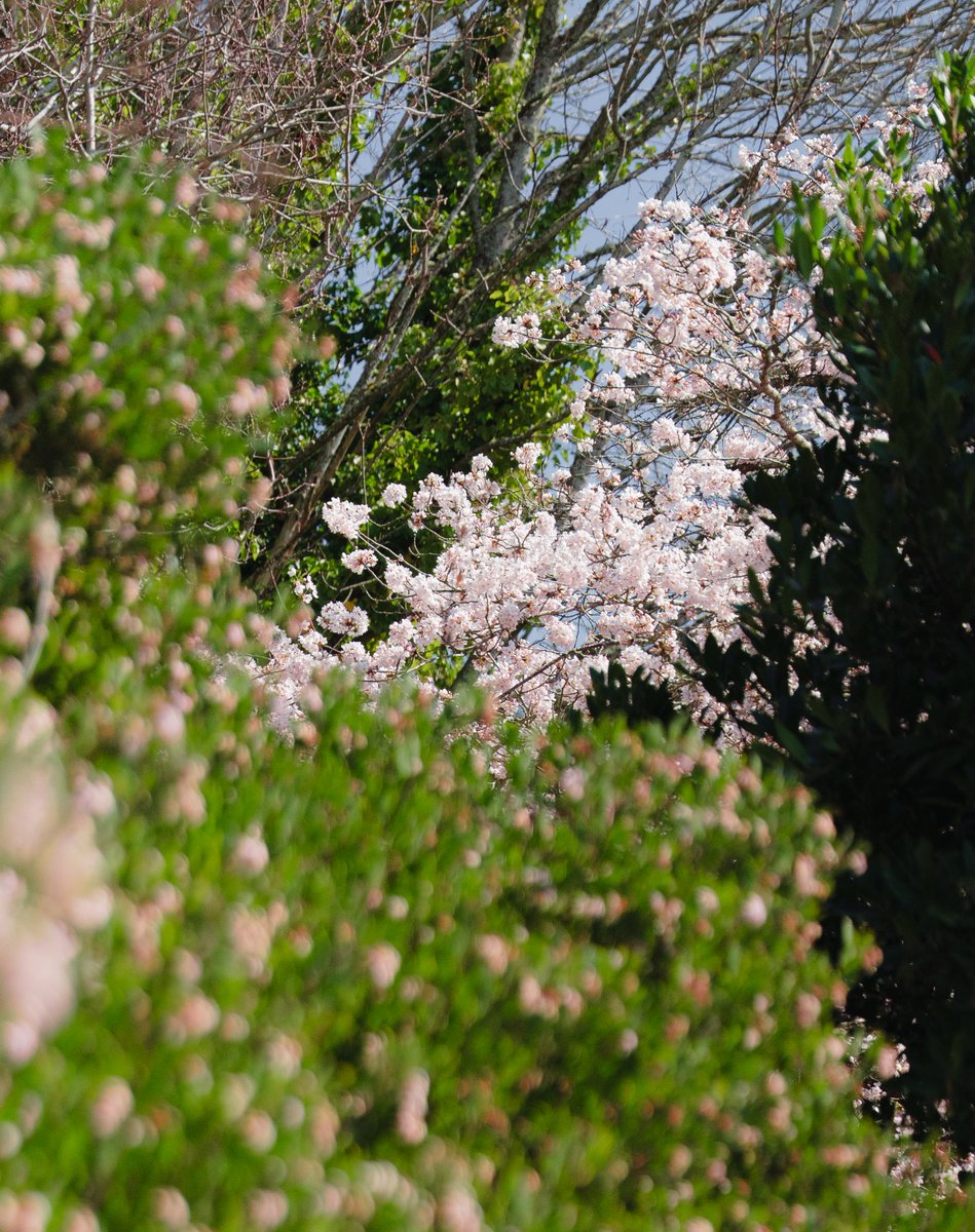 mikayla 🏳️⚧️ tweet media