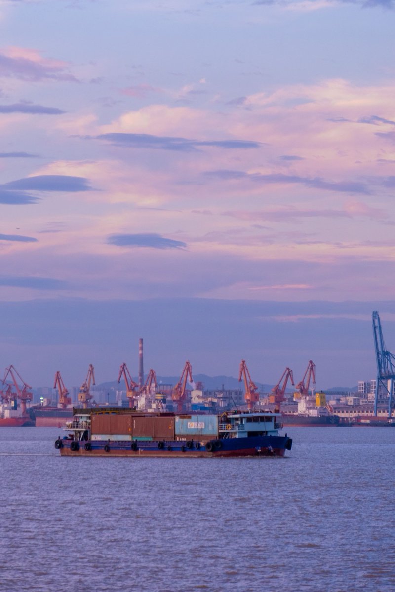 Nayeli Martinez tweet media