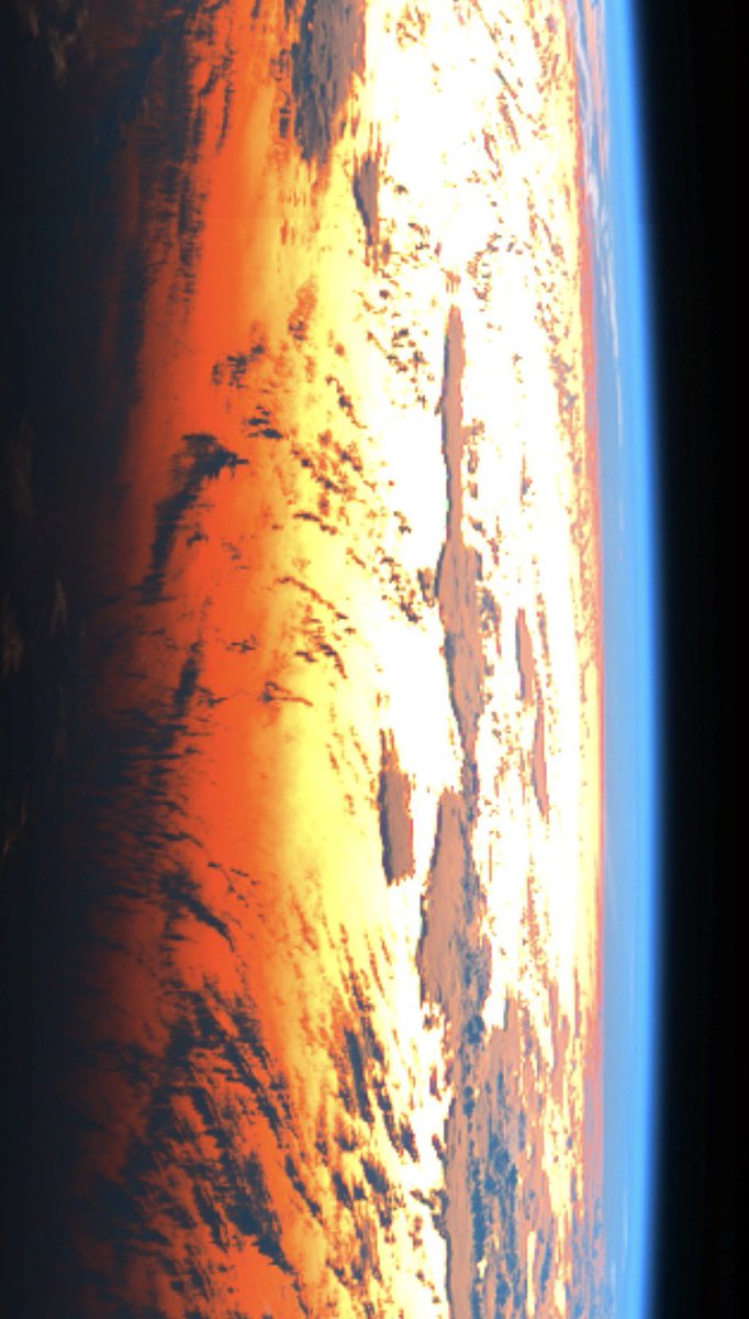 荒木健太郎 tweet media