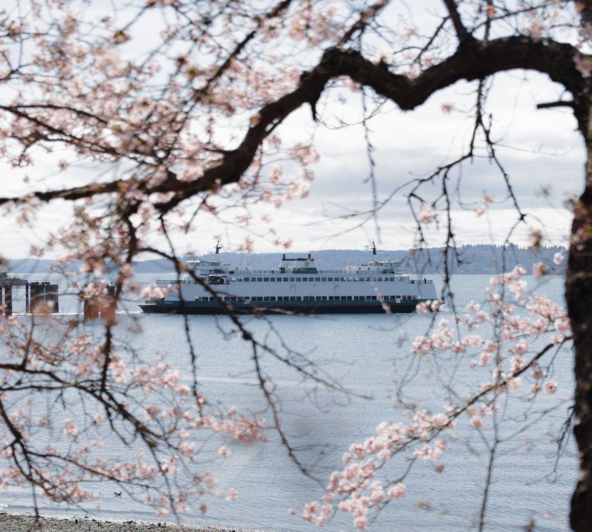 mikayla 🏳️⚧️ tweet media