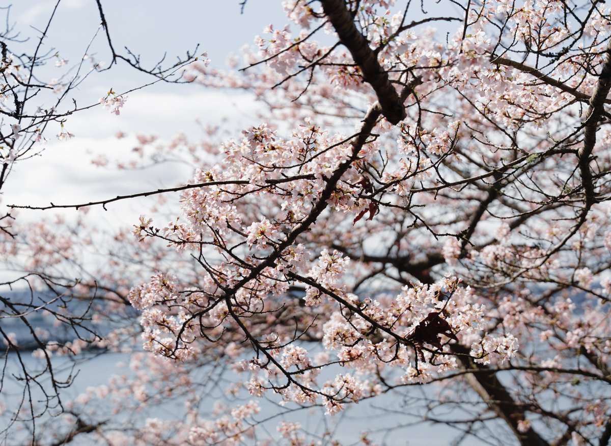 mikayla 🏳️⚧️ tweet media