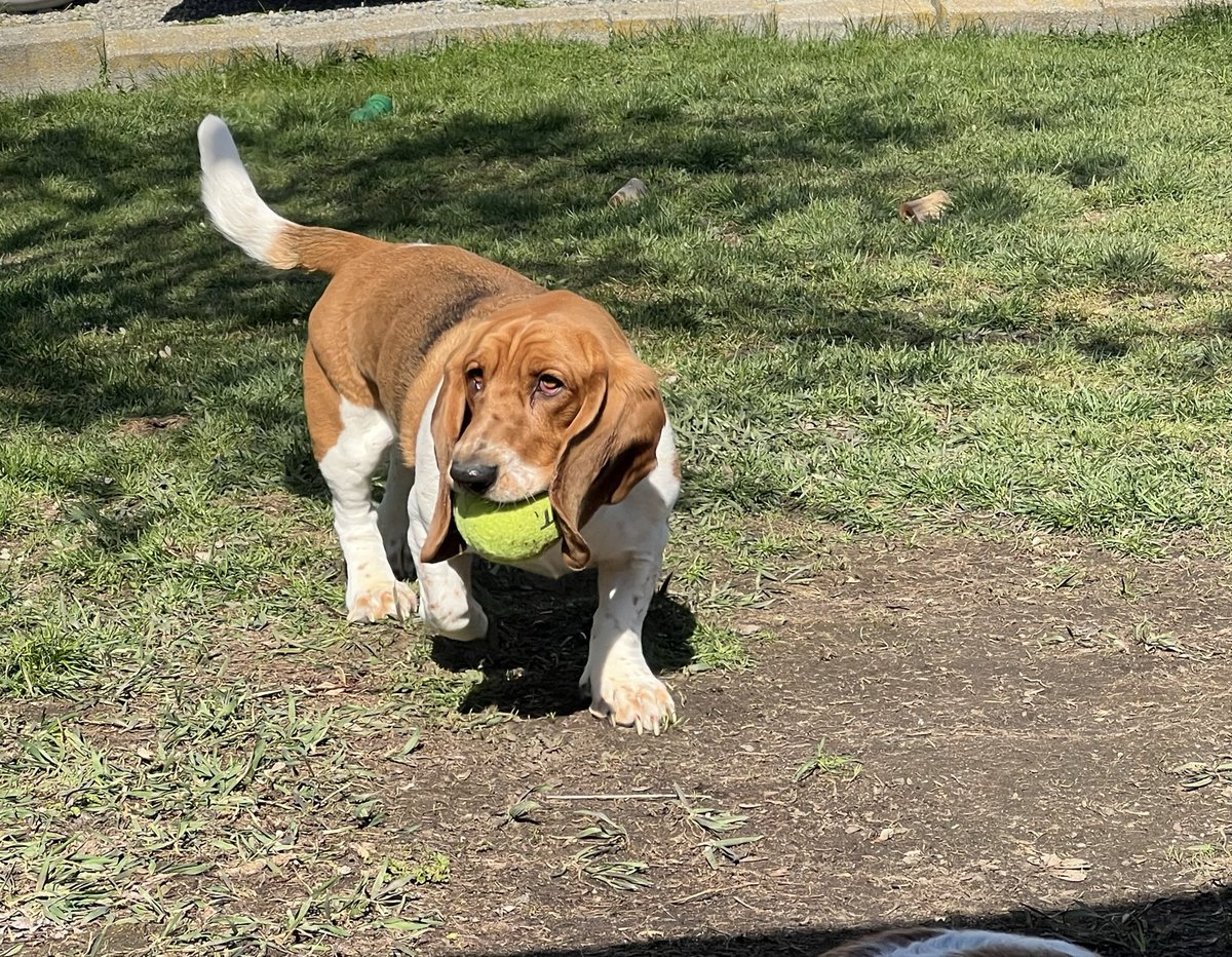 Woodrow303 tweet media