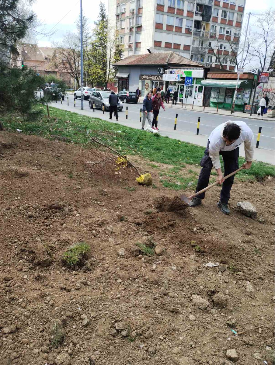 beolily's tweet photo. Danas se sadilo drveće i žbunje i sejala trava na površini koju su pokušali da otmu od stanovnika Kanarevog brda i postave kontejner za komunalneu miliciju . #zlf  #Rakovica #kanarevobrdo https://t.co/IvyG4CQIf0