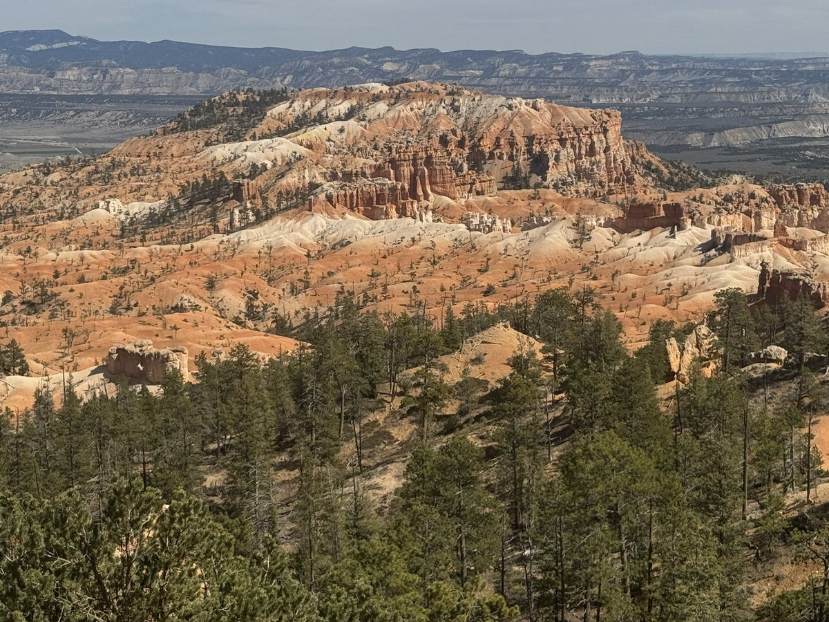 Bring Facts tweet media