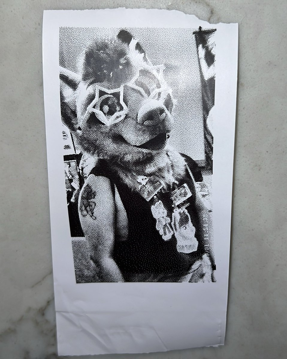 Gray 🔜 TFF tweet media