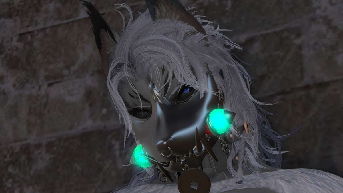 Sky Wolf tweet media