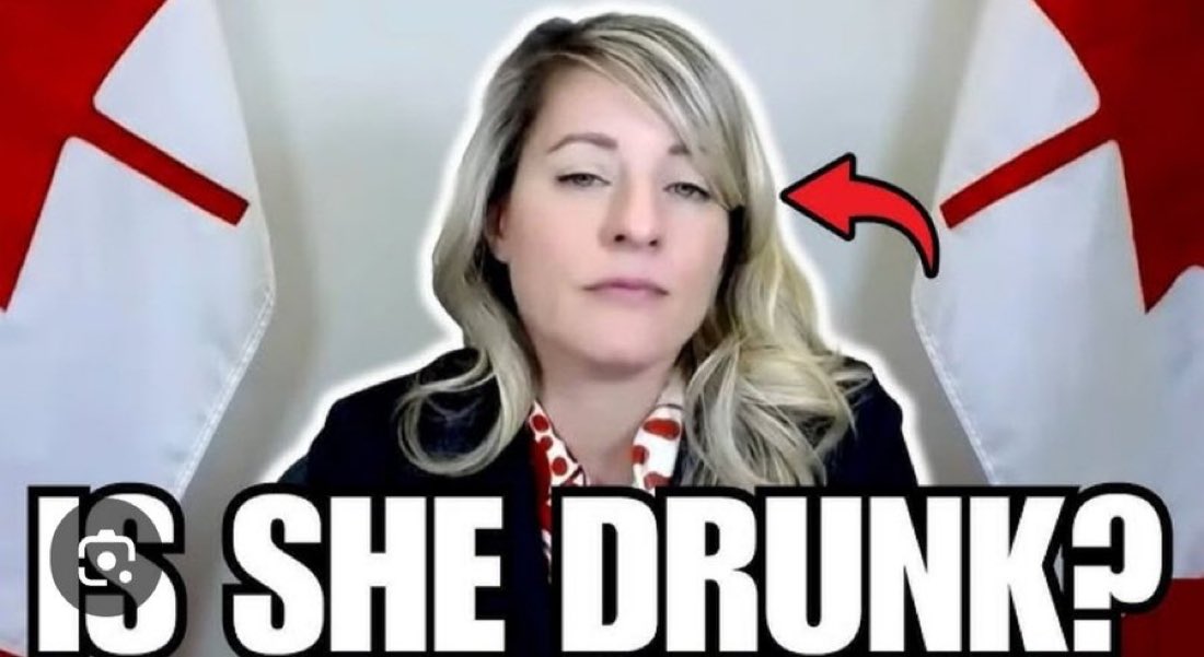 Concerned Canadian tweet media