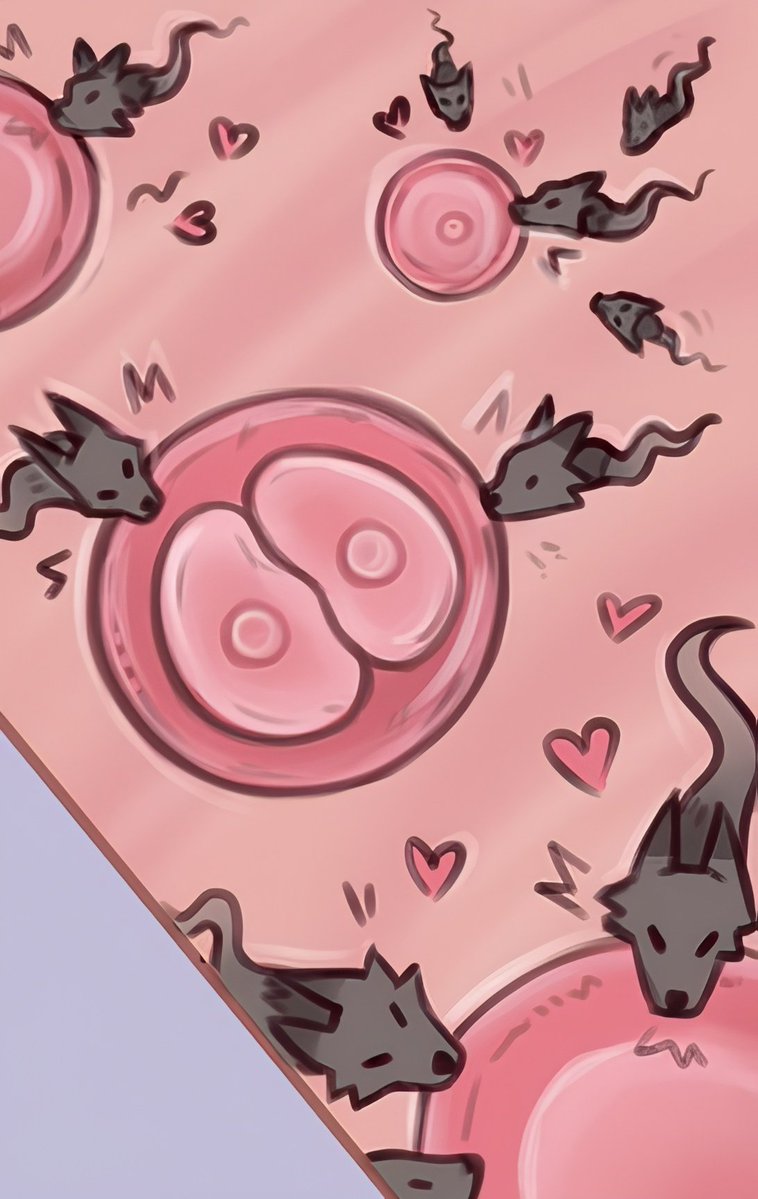 𝚆𝚎𝚛𝚎𝚠𝚘𝚕𝚏 tweet media