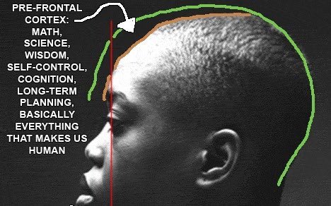 pingerfussy tweet media