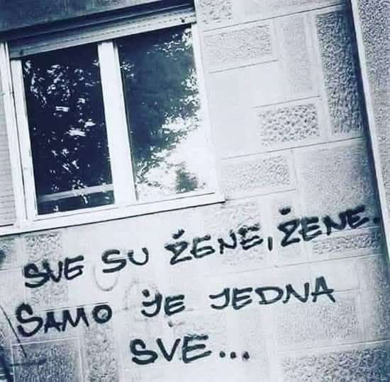 znastvenik tweet media