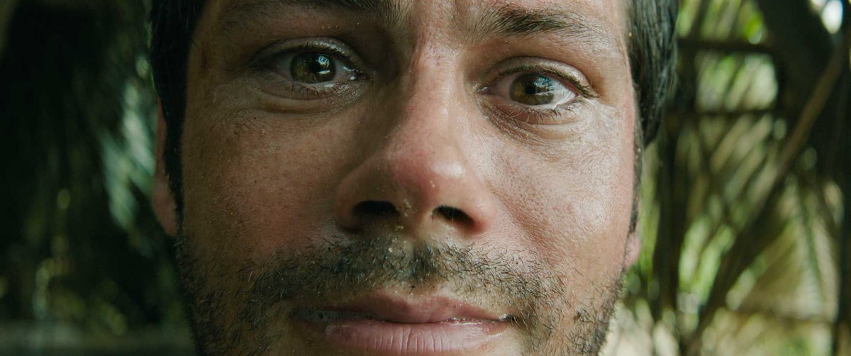 Shannon & Swift tweet media