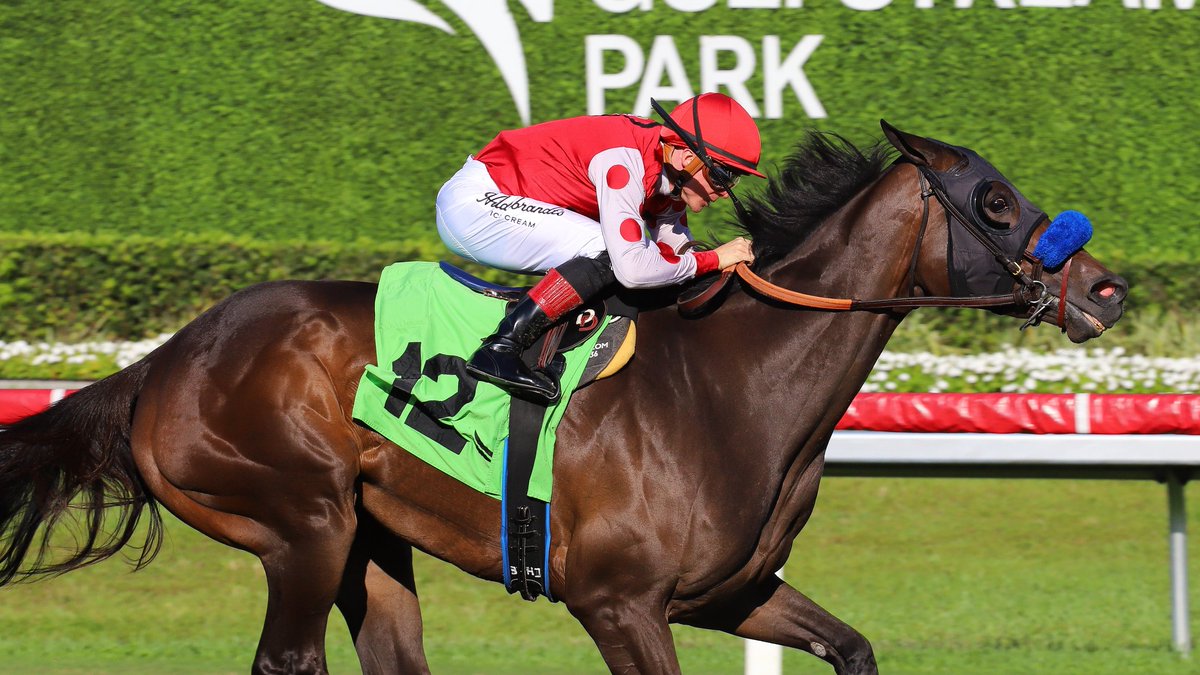 Gulfstream Park tweet media