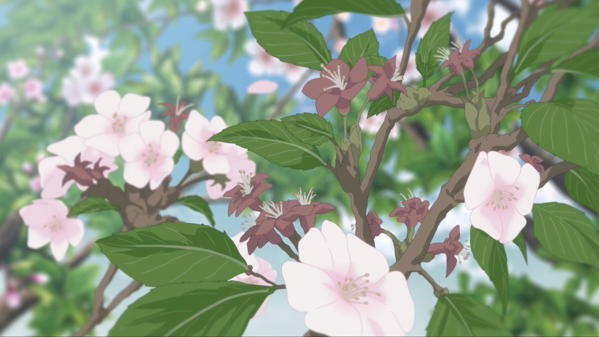 Haru ❀ tweet media