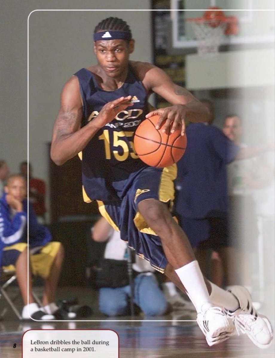 moose 🐦‍🔥 tweet media