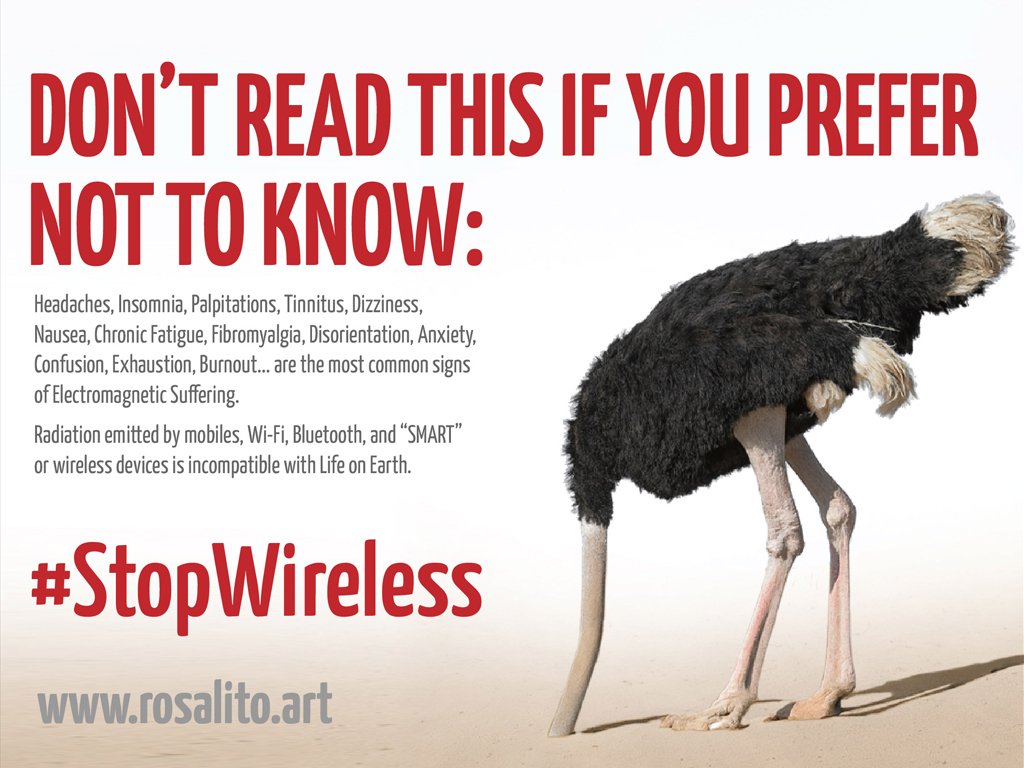 Rosalito EHS tweet media