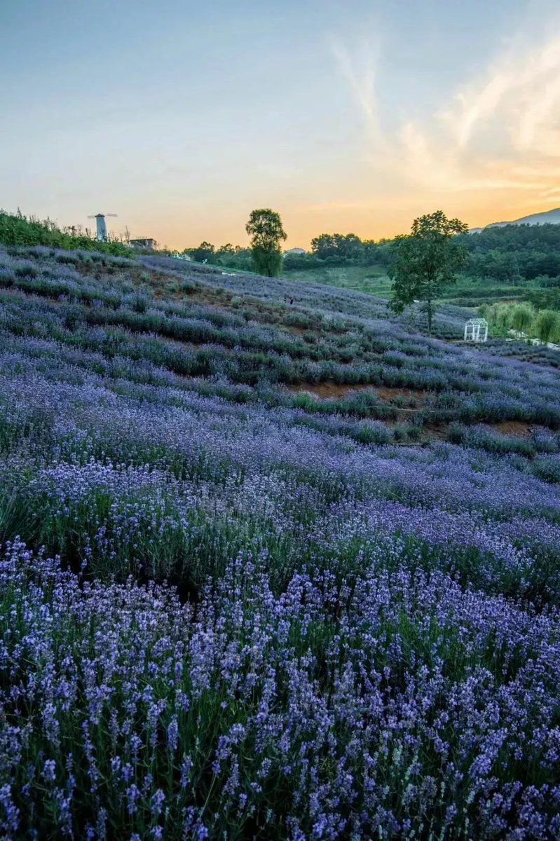 Darren Fitzgerald tweet media