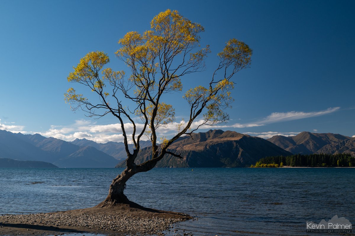 Kevin Palmer tweet media