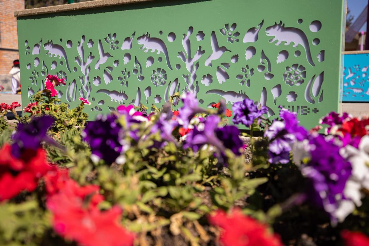 Clara Brugada Molina tweet media