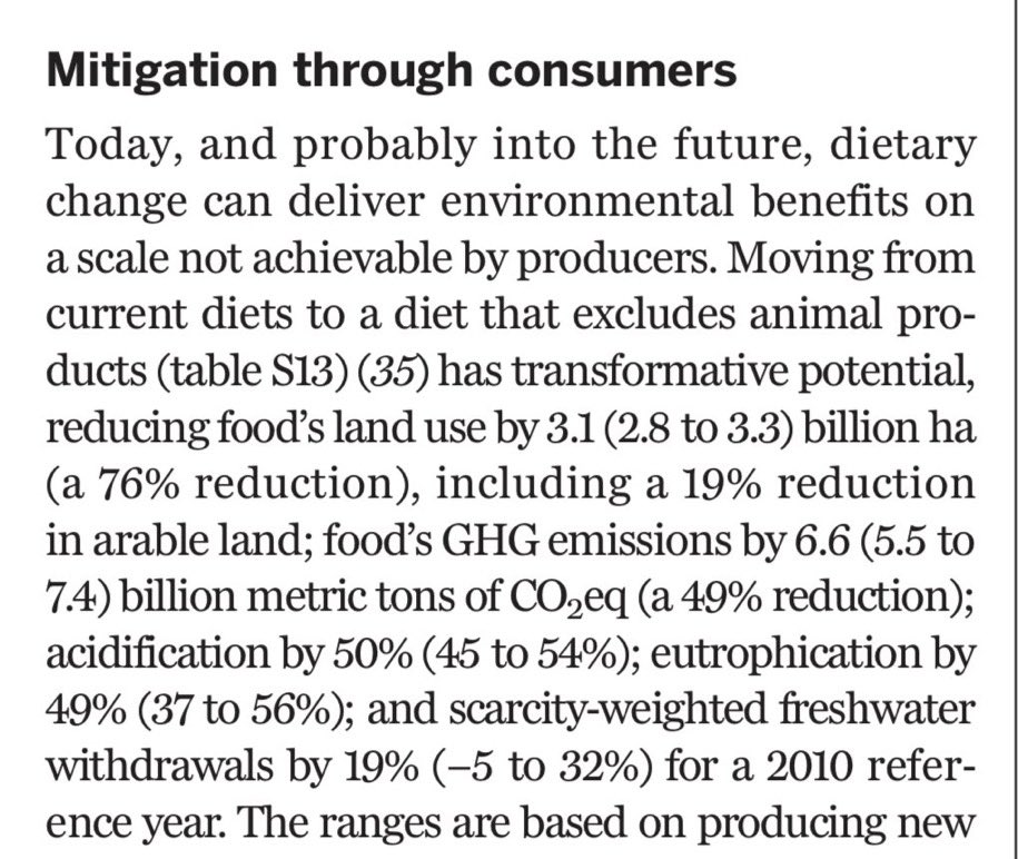 spencer 🦈 tweet media