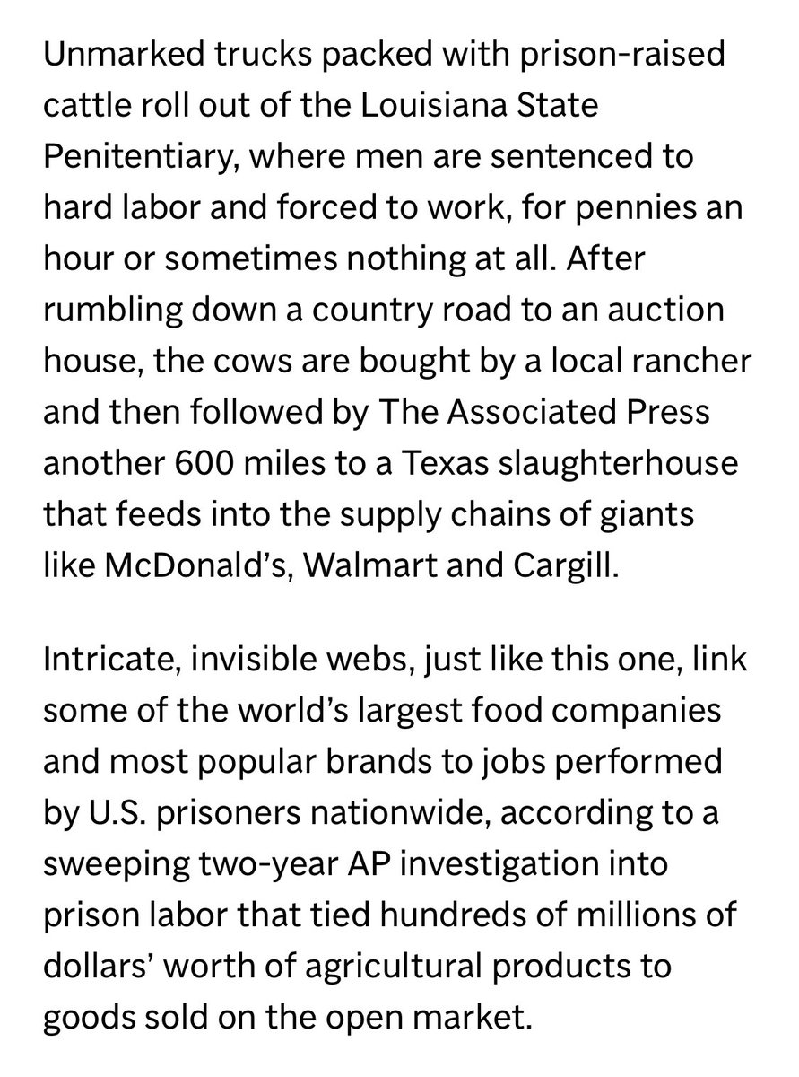 spencer 🦈 tweet media