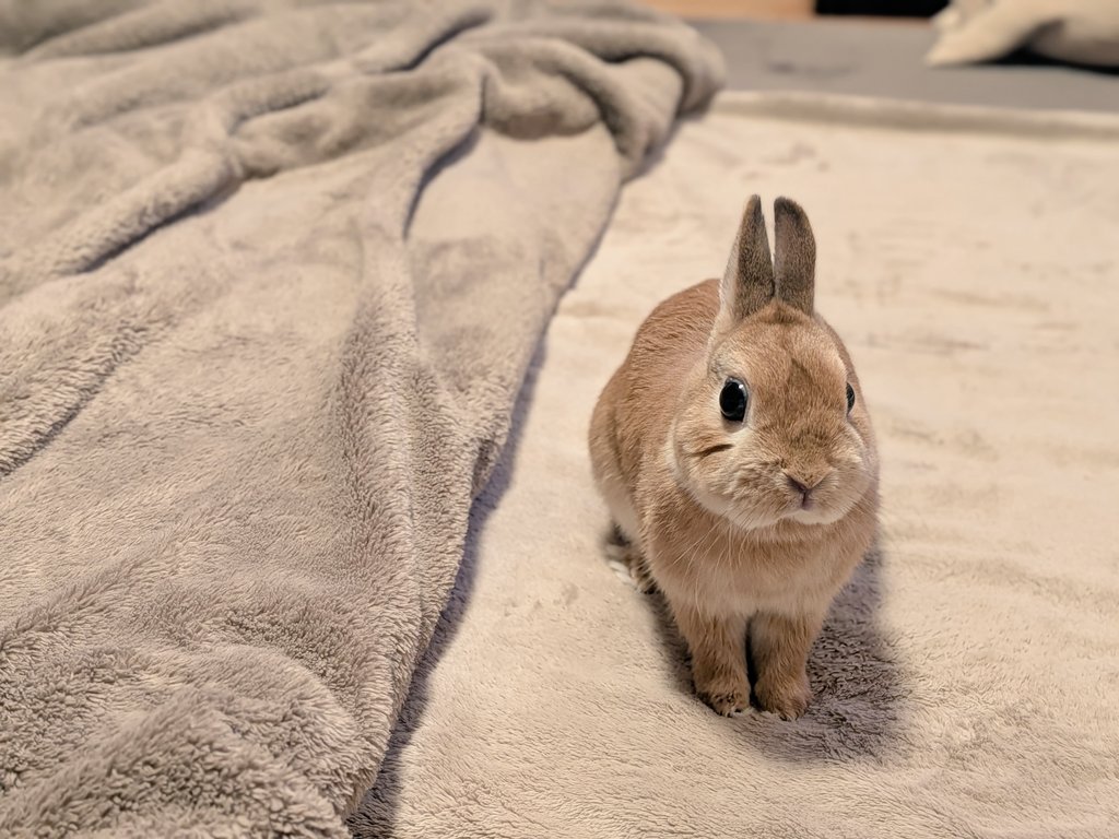 みかん🍊かぼす💚 tweet media