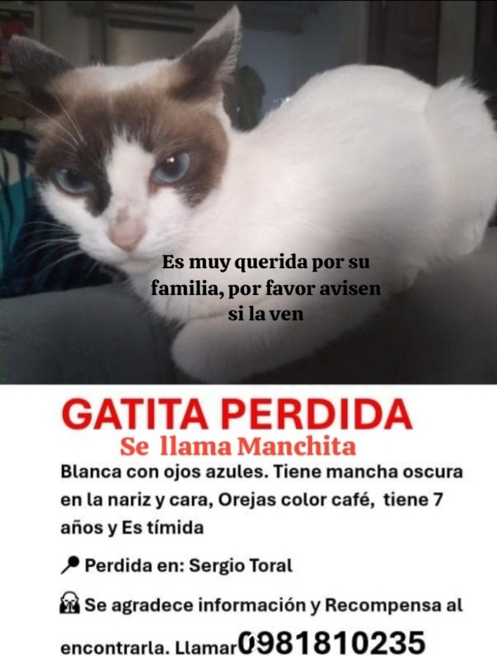 Alerta me perdi tweet media