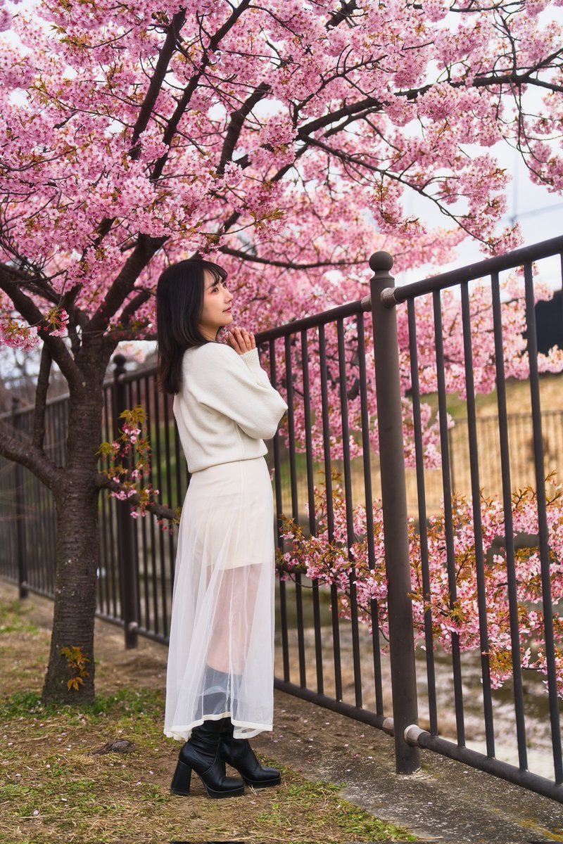 淀水路 河津桜リク撮①
#ピスタ撮影会
Model:   麗羽さん    
( <a href="/Reiha0212/">麗羽-Reiha-🦋ピスタ</a> ) 
   
おはようございます😊

#関西モデル #関西美人モデル
#ポートレート撮影  #ポートレートモデル  #ポートレートしま専科　#pasha_magazine