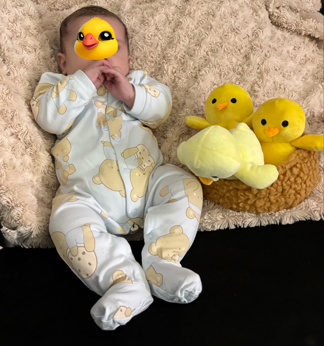 Yolanda 🩵🩵 tweet media