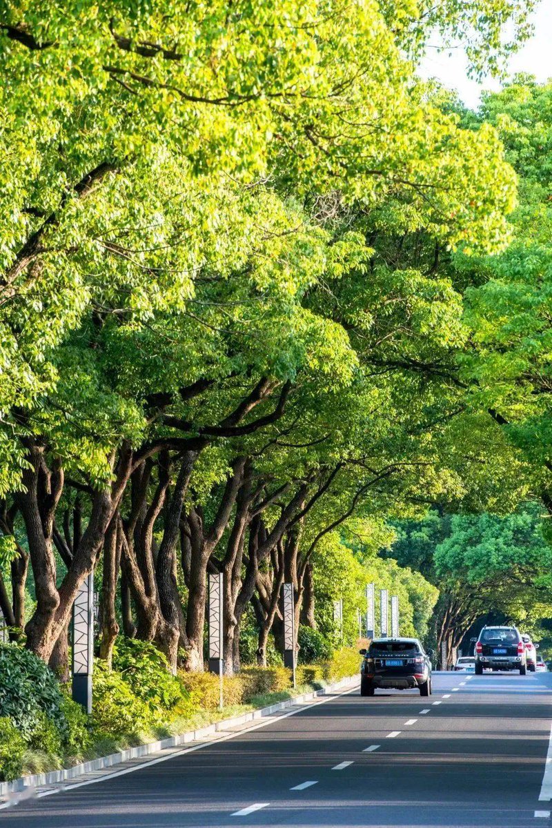 kristin kleinvachter tweet media