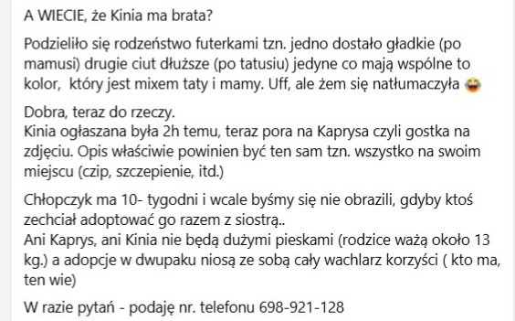 Robwalka Wolf tweet media