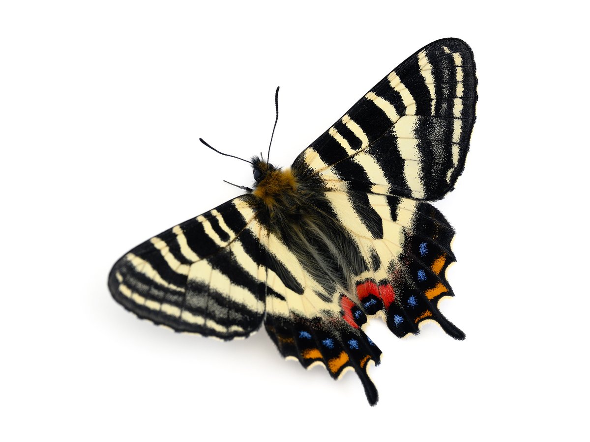 KUDO Seiya tweet media