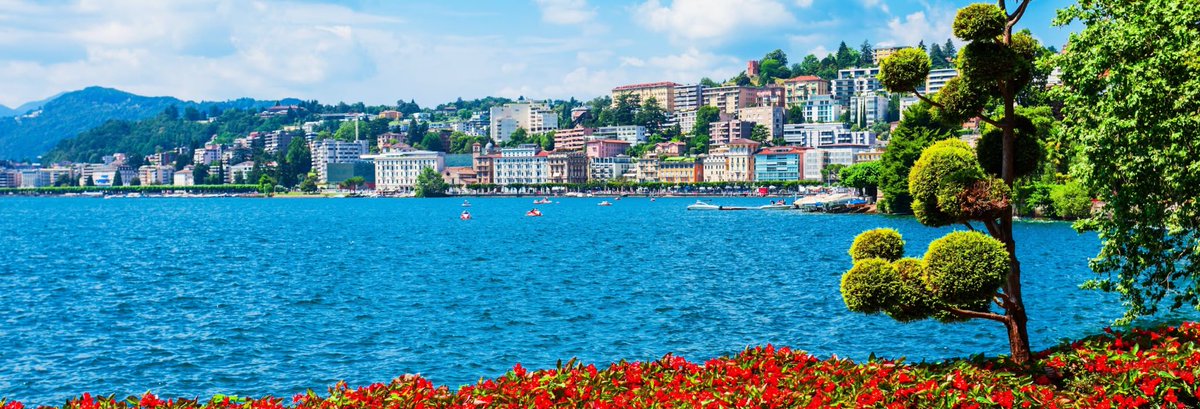 AphexTriplets 🧉🐸🏴☠️ tweet media