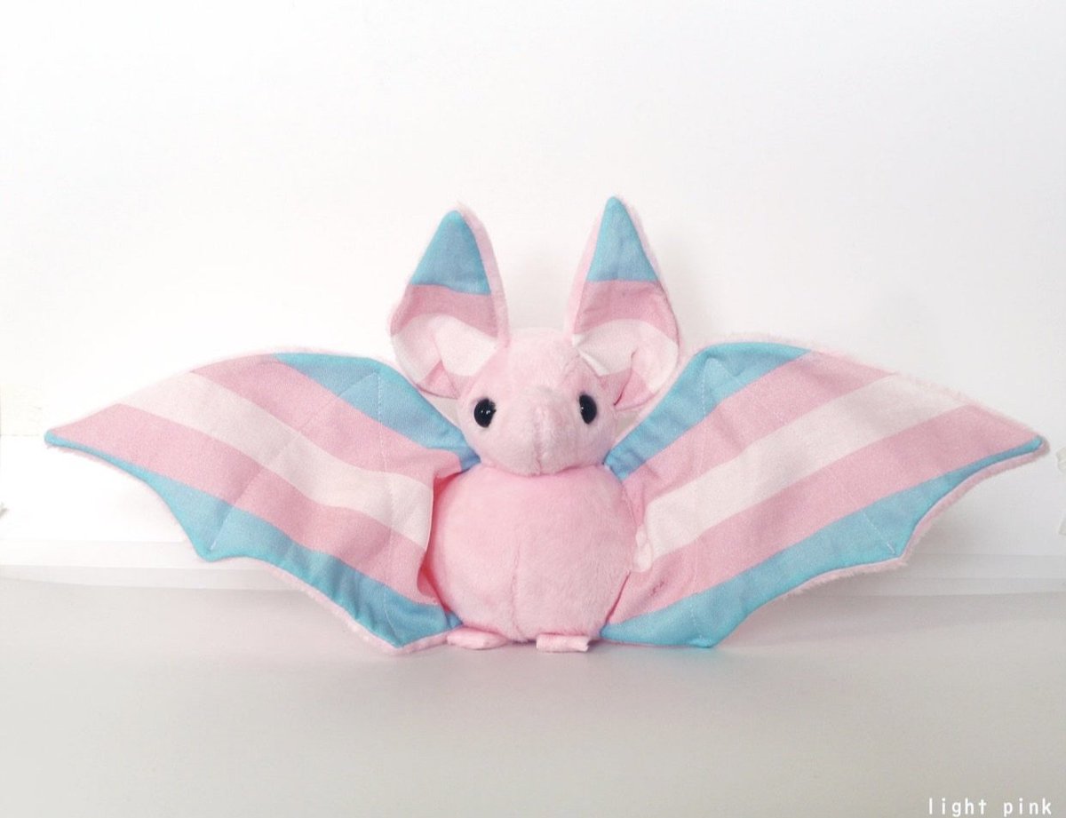 WillowTheFoxΘΔ🏳️‍⚧️🐾Pawbz are cute!🐾 tweet media