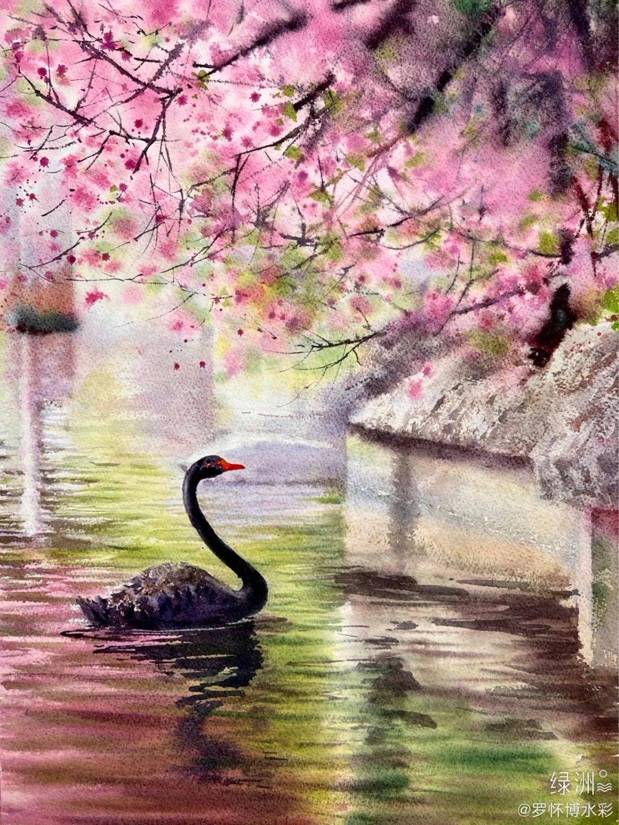 Alb Gabriela tweet media