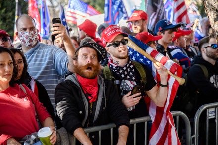 TheFrenchie tweet media