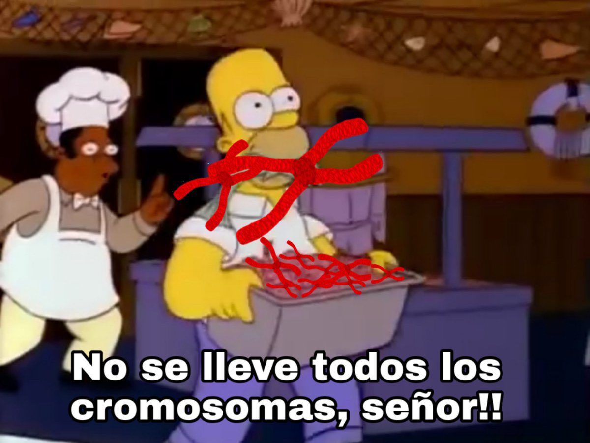 𝕬𝖓𝖉𝖗𝖊𝖘 𝕬. 𝕮𝖆𝖗𝖉𝖔𝖓𝖆 tweet media