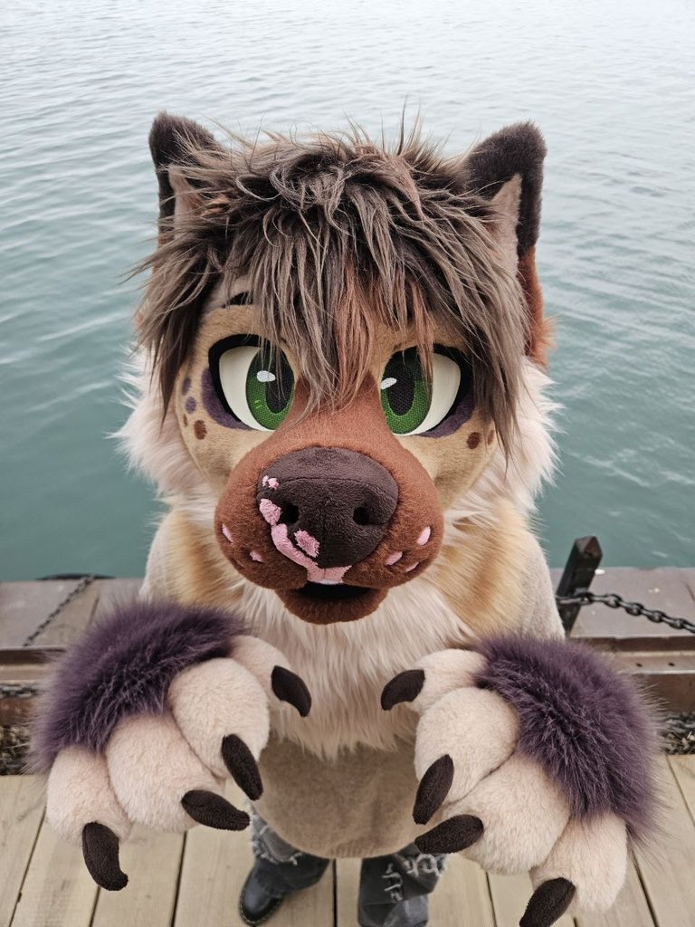 Koji 🌿 tweet media