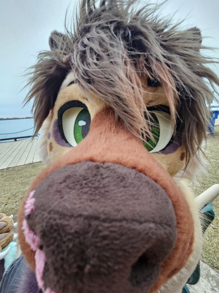 Koji 🌿 tweet media