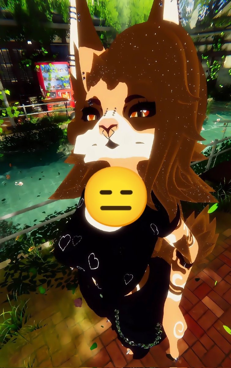 ☕Coffee Kitty🧡 tweet media