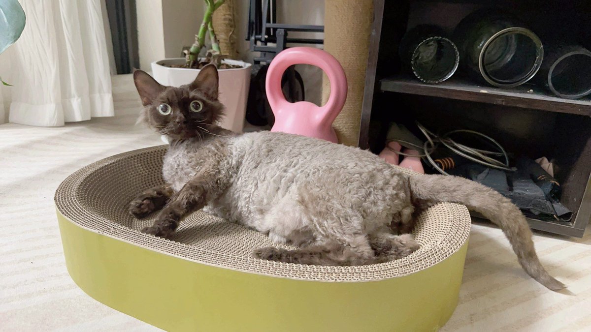 Jimmy Florez tweet media