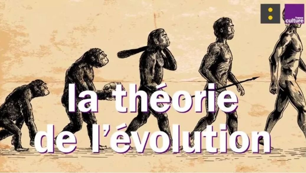 Pascal passementerie tweet media