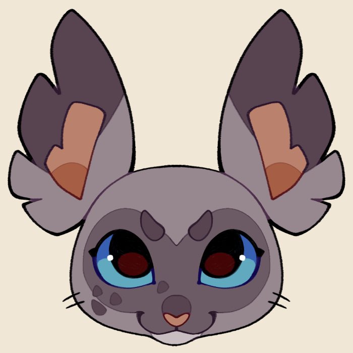 foxii 🌈 tweet media