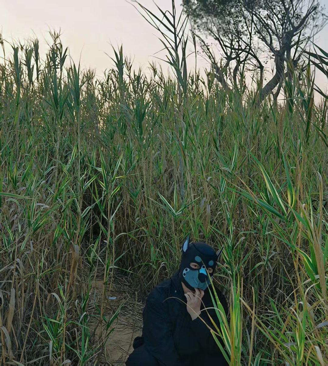 Rmidog_'s tweet photo. https://t.co/n5cgZvCysd