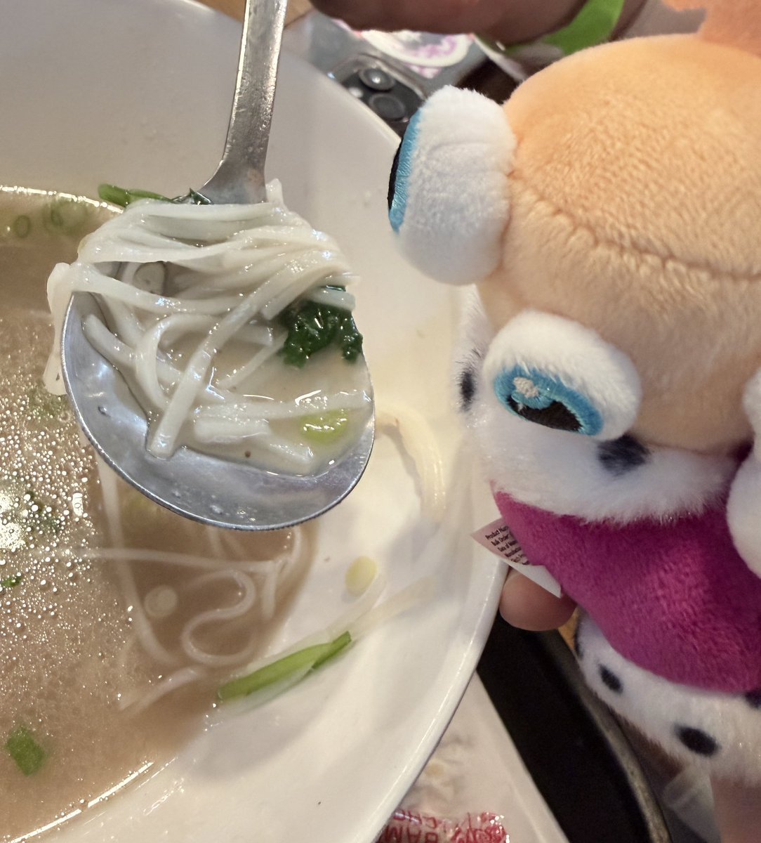 ＢＯＮＥＺ |OPEN FOR WORK| tweet media