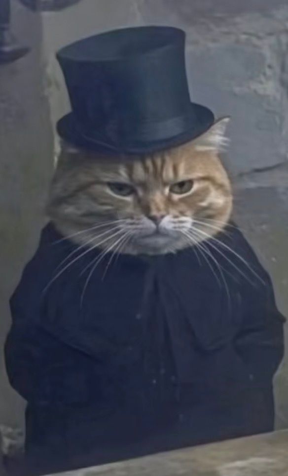 ⚛️| Yazeed X tweet media