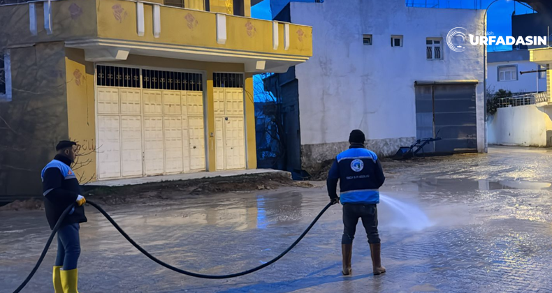 Urfadasın tweet media